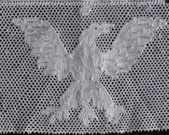 Aigle usa